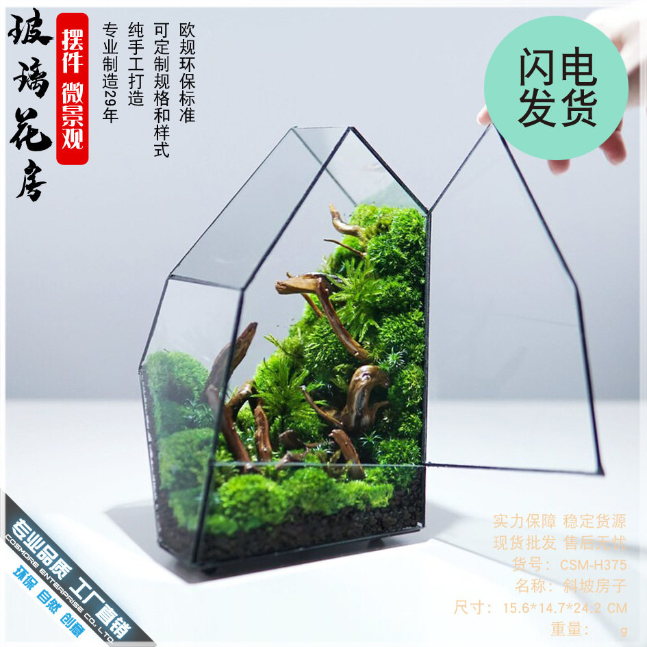 玻璃花房微景观苔藓植物花盆生态热带雨林缸流水造景养鱼玻璃罩子