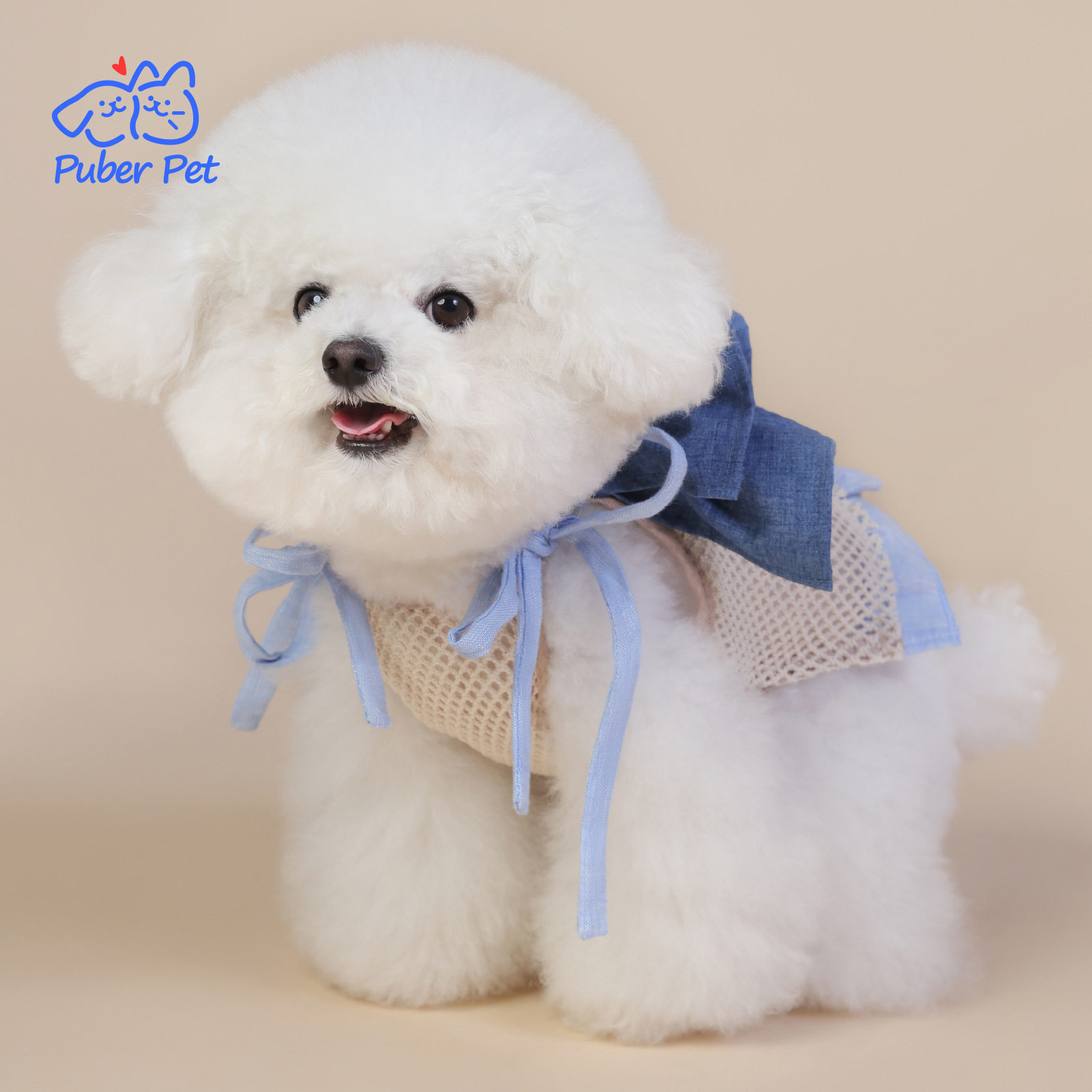 夏季薄款宠物小狗衣服小型犬泰迪夏天雪纳瑞中型犬公主风猫咪裙子