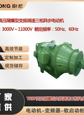 YBBP高压隔爆型变频调速三相异步电动机 电 压：3000V～11000V