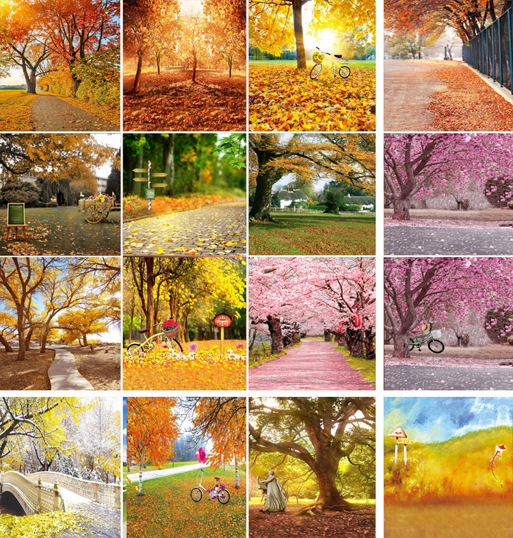 高端简约唯美风景款直播间背景布背景墙打卡摄影拍照3D立体家庭装修网红同款直播带货背景布高清一体无痕无缝