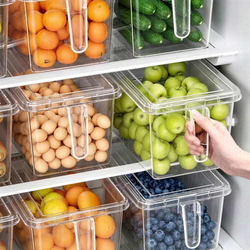冰箱收纳盒食品级保鲜盒厨房蔬菜饺子整理神器冷冻专用鸡蛋储物盒