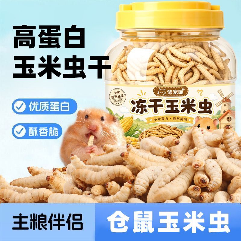高蛋白大条玉米虫干蜜袋鼯仓鼠零食营养鼠粮饲料互动花枝鼠金丝熊图片