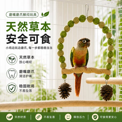 鹦鹉站杆站架小鸟啃咬玩具解闷自嗨攀爬虎皮玄凤牡丹啃咬装饰秋千