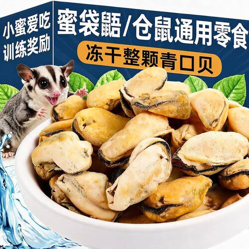青口贝冻干蜜袋鼯零食仓鼠粮贻贝食用海鲜酥脆磨牙小蜜训练互动奖