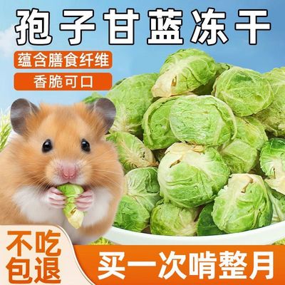 孢子甘蓝冻干仓鼠零食营养蔬菜干即食金丝熊米熊兔子荷兰猪饲料