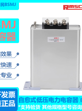上海新款人民电力电容器BSM045303补偿电空30KVAR450V385A并联