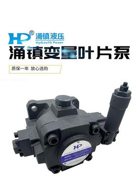 新款台湾HP液压油泵HVPVC-F40-A5-02/F30-A4/A1/A3/A2/-0包邮