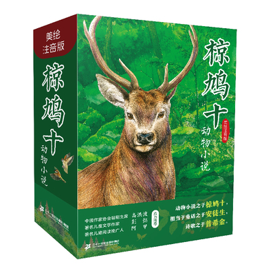 领略大自然的壮阔与力量，感知生