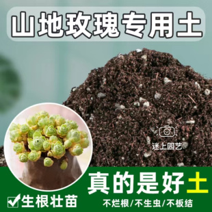 山地玫瑰营养土多肉植物通用型30%颗粒土壤家用肉肉植物种植泥土