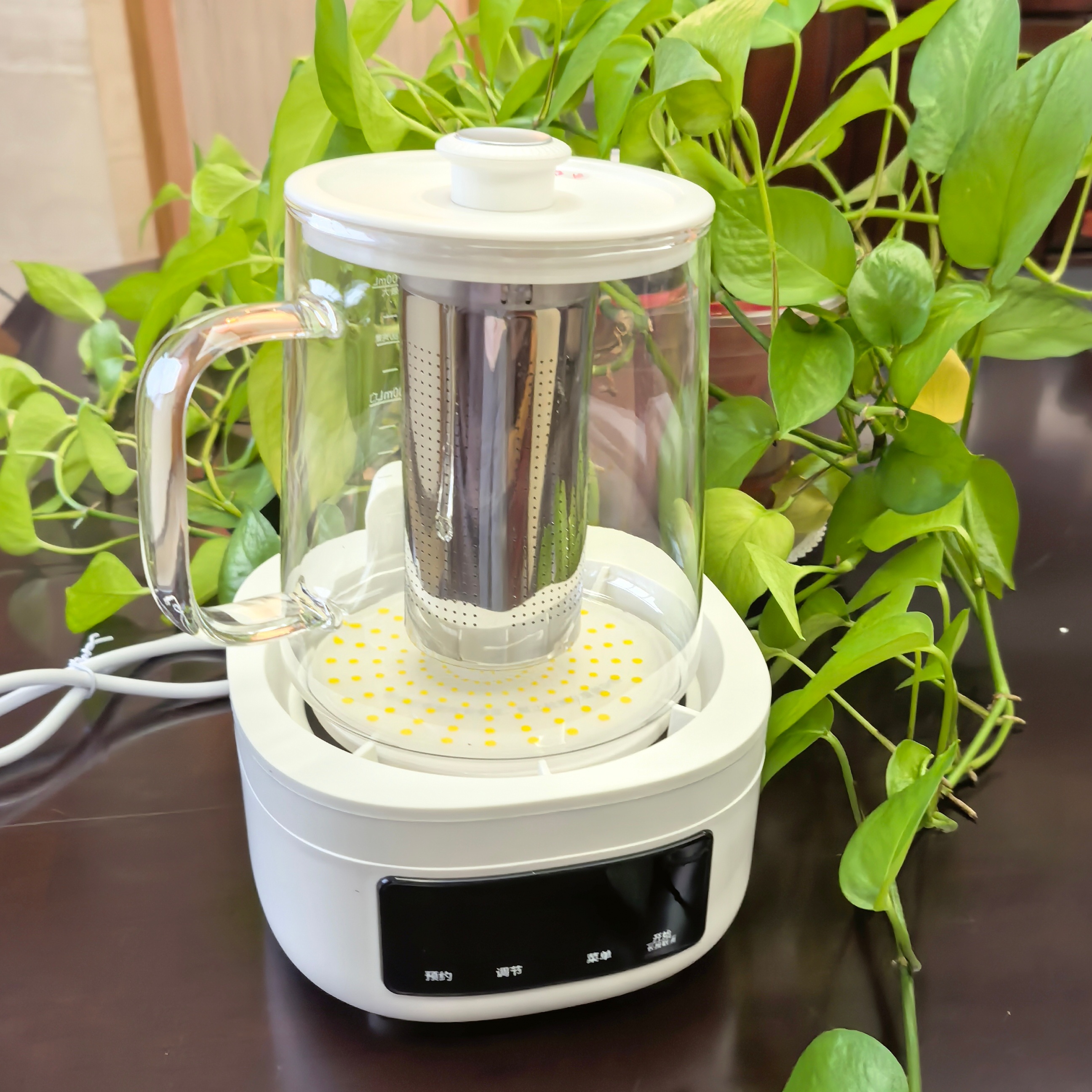 Royalstar/荣事达 YSH1280 全玻璃迷你养生壶可预约煮茶器煎药壶