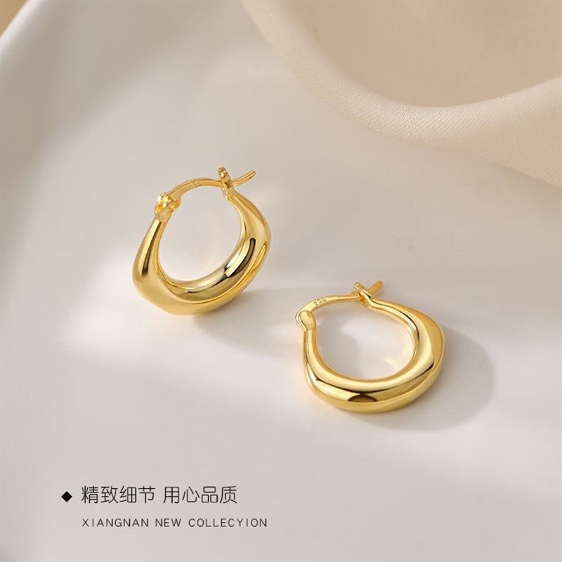 Korean Style Chilly Metal Earrings Womens Light Luxury Europ