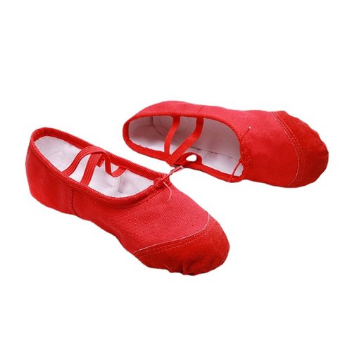 Dance Shoes for Girls Women SoftSoled Cat Paw Shoes for Danc