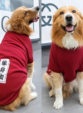 Winter Pet Clothes for Large Dogs Golden Retriever Samoyed B