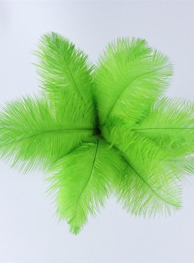 Colorful HighQuality 1520CM Natural Ostrich Feathers Wall De