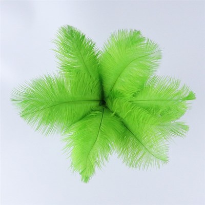 Colorful HighQuality 1520CM Natural Ostrich Feathers Wall De