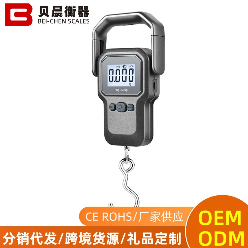 Portable Electronic Scale Small Fishing Scale Rechargeable H