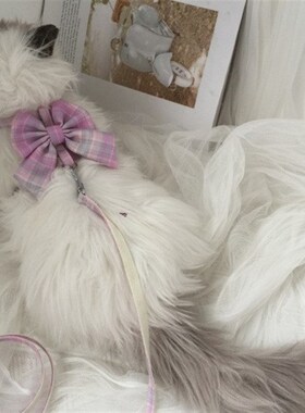 Antiescape Cat Leash Adjustable Pet Chest Harness for Outdoo