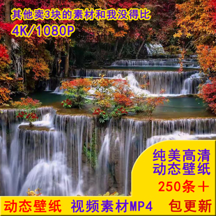 高清4K电脑动态壁纸电子相框壁纸1080P会动的屏保MP4合成短片素材