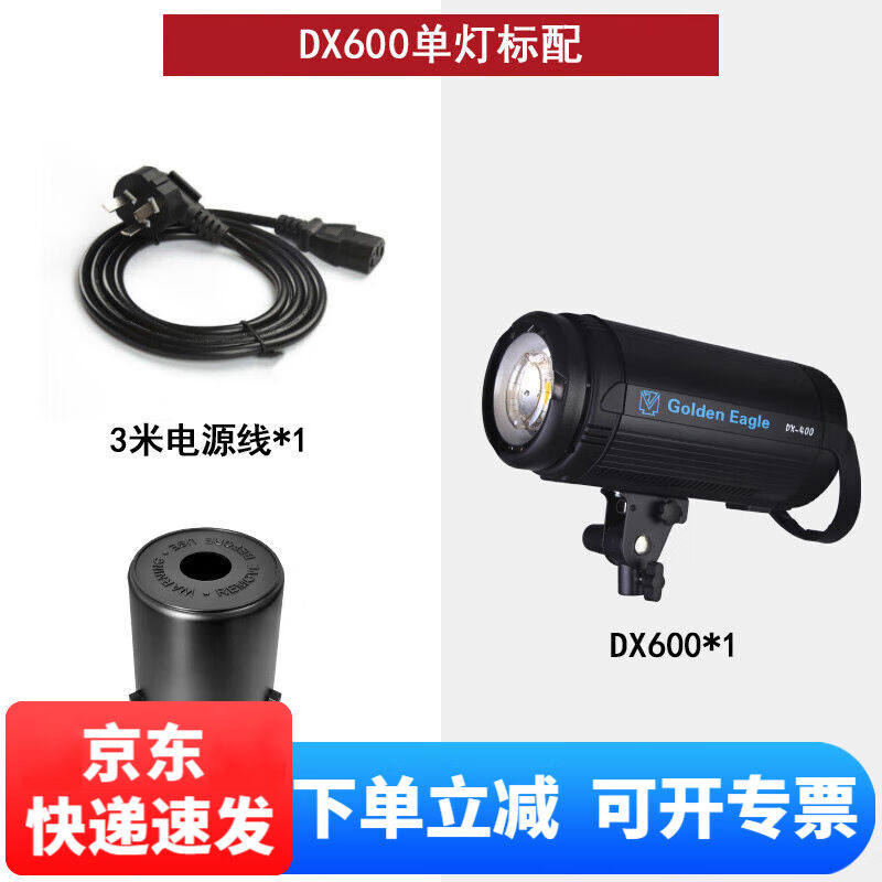 金鹰DX600w闪光灯摄影灯影棚灯影室灯人像婚纱摄影棚拍摄打光D