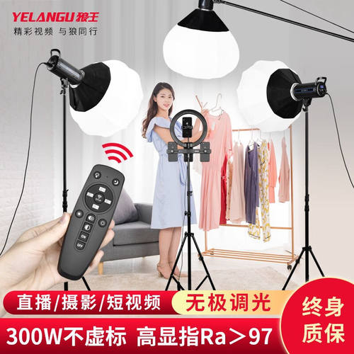 狼王（YELANGU）300W摄影灯直播间可调光补光灯全套常亮柔光灯球