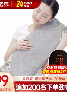 诺泰（nuotai）电热带护腰海盐热敷包艾灸盐包电加热盐袋粗盐热敷