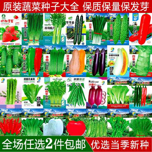 蔬菜种子四季播种阳台盆栽庭院香菜菠菜葱白菜萝卜蔬菜籽种孑大全