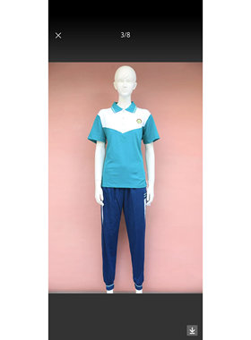 佛山市第三中学校服佛山学生校服禅城区中学校服纯棉夏装短袖短.