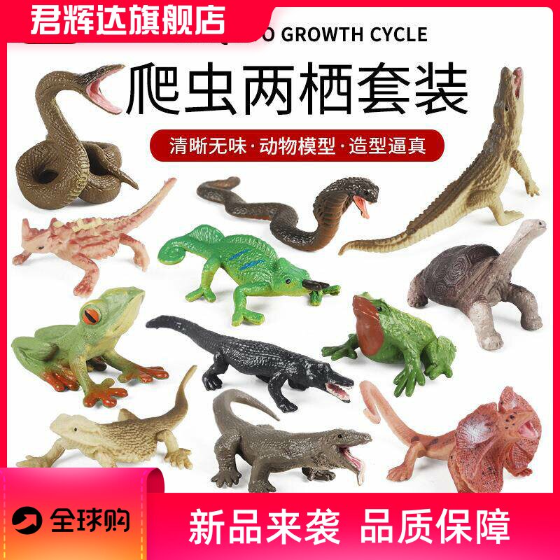 仿真爬虫两栖野生动物模型迷你蜥蜴象龟青蛙鳄鱼眼镜蛇变色龙森蚺