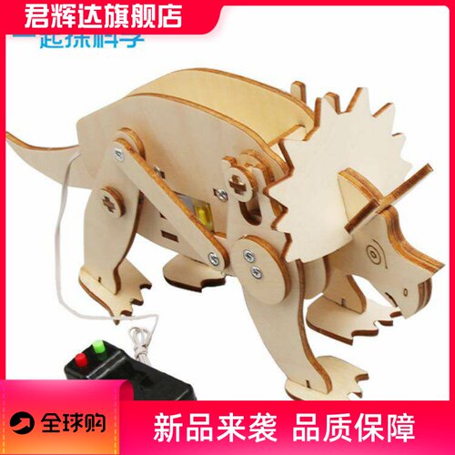 儿童手工科技小制作DIY遥控龙学生科学实验拼装三角龙学习教具