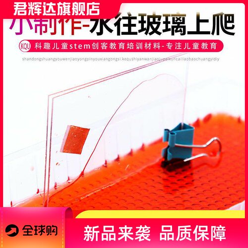 水往玻璃上爬科学实验stem创客教育材料科技小制作毛细现象小学