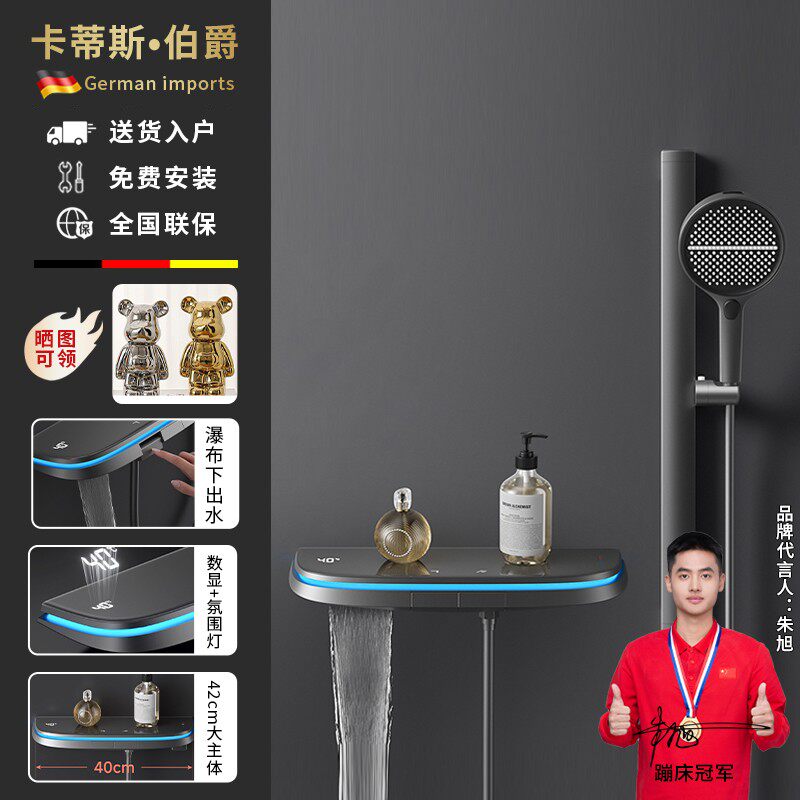 德国纯铜主体多功能出水花洒套装枪灰色分体数显简易花洒无顶喷B2