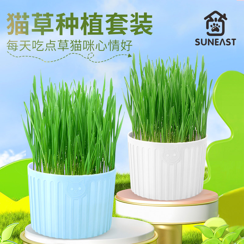 猫咪用品猫草猫薄荷营养土种植去除毛球化毛草套装猫草种植猫零食