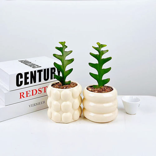 鱼骨令箭多肉植物仙人掌花卉盆栽室内懒人四季好养锯齿昙花