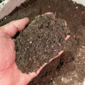 营养土养多肉仙人球专用通用型绿植花土种花有机土壤种植花泥发酵