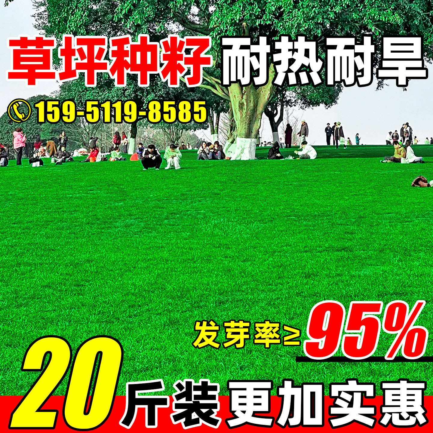 草坪草籽四季常青耐寒耐旱护坡狗牙根矮生地毯草皮绿化黑麦草种子,鲜花速递/花卉仿真/绿植园艺,家庭园艺种子,淘宝优惠券,粉丝福利购,淘宝优惠卷