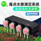魔点滴定泵鱼缸智能定量加液机器全自动加药器海水缸水质管理神器