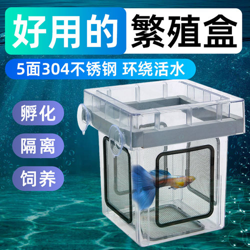 沃韦朗孔雀鱼繁殖盒鱼缸隔离盒