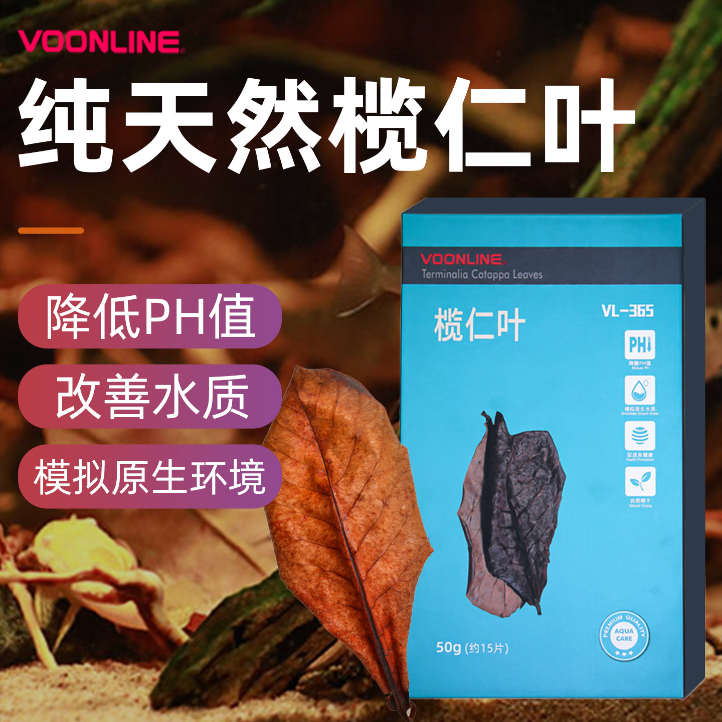 沃韦朗榄仁叶鱼缸专用天然懒人叶图片