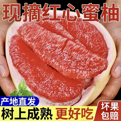 福建平和柚子红心柚子新鲜水果红肉蜜柚5斤10应当季整箱现摘现发