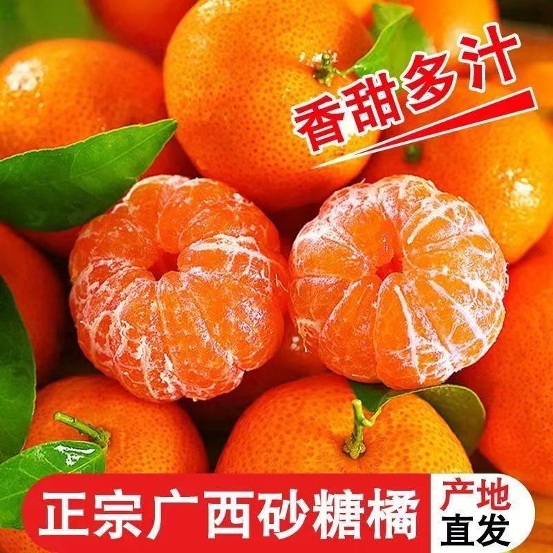 正宗广西砂糖橘产地直发新鲜薄皮蜜桔