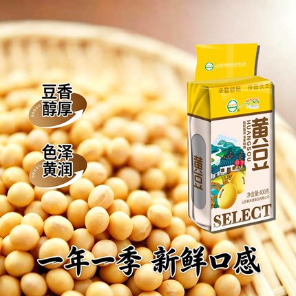 东北农家黄豆400g新鲜大豆非转基因黑土地笨黄豆豆浆原料营养早餐