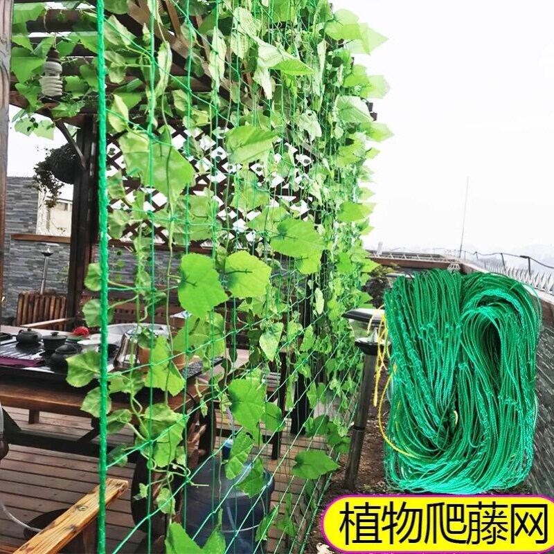 蔬菜爬藤网种植网家用户外庭院丝瓜百香果攀爬架园艺网花卉绳子