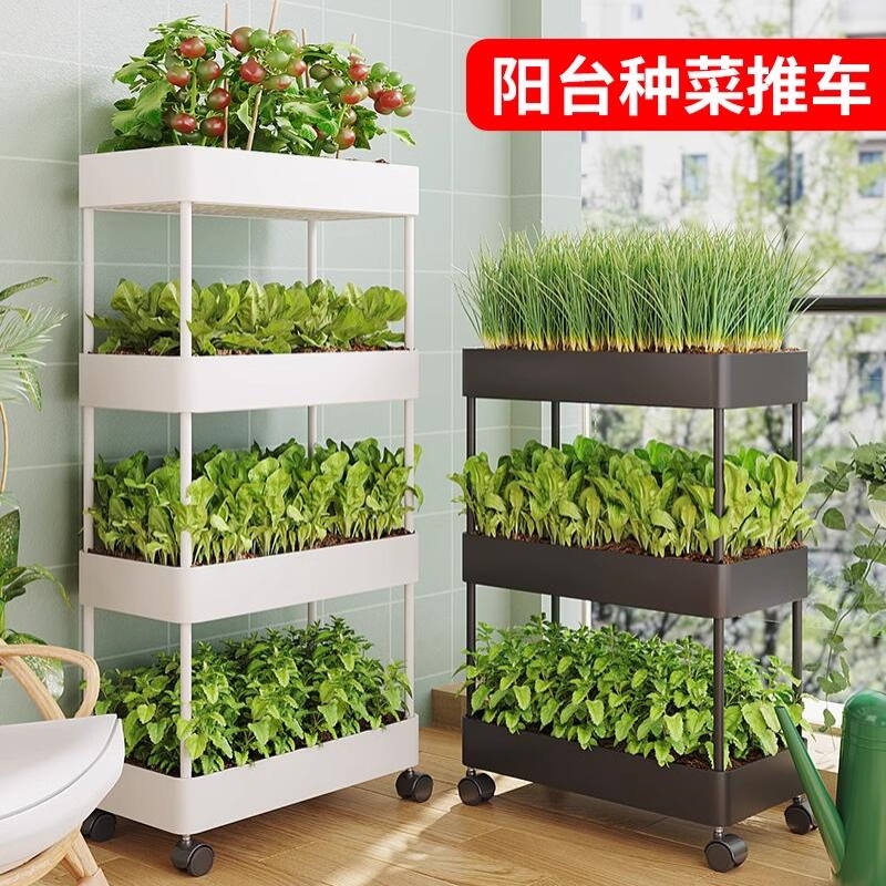 室内阳台种菜神器多层立体组合专用箱组合种植顶楼菜架草莓盆花架
