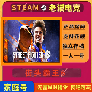 街头霸王6steam账号全新白号可联机带全DLC改密码 换绑邮箱家庭号