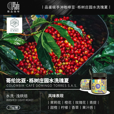 LP CAFE巴拿马阿尔铁里庄园初恋瑰夏水洗浅烘焙香甜迷人75g罐装