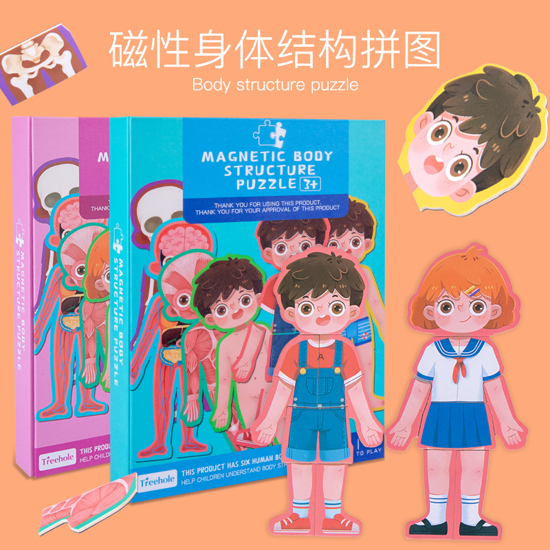 磁性男孩女孩身体器官结构拼图