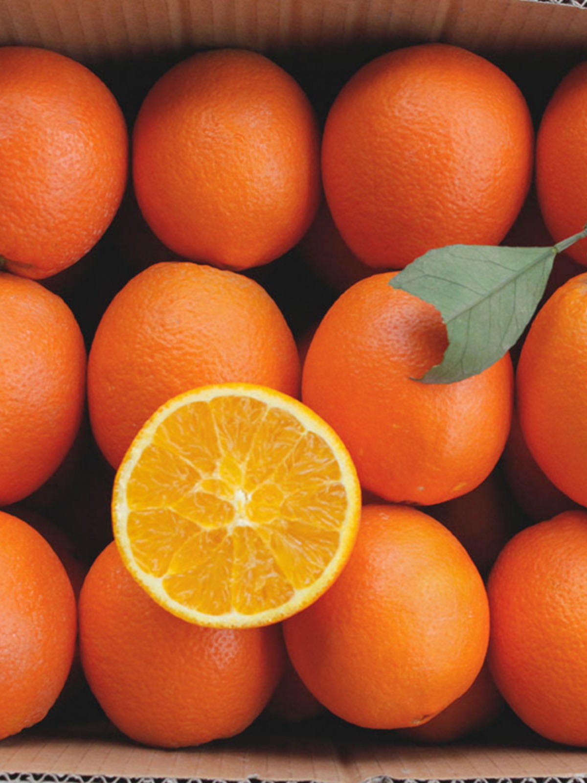 正宗枝江纽荷尔脐橙9斤当季新鲜孕妇水果大甜橙产地直发可榨橙汁