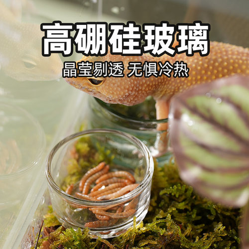 小号爬虫无菌玻璃水杯果泥食盆