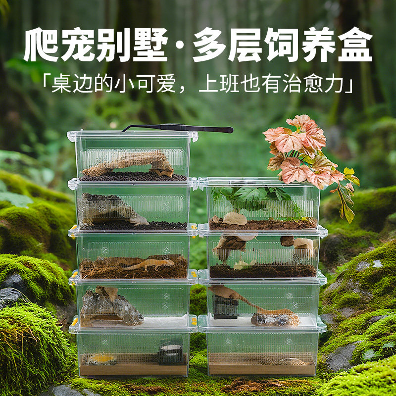 守宫蛛蛛角蛙蛇桌面防逃饲养盒