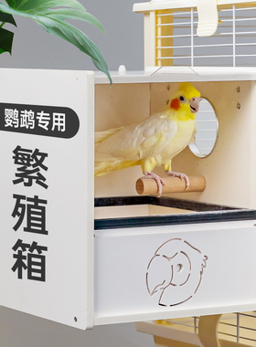 PVC鹦鹉繁殖箱牡丹玄凤鹦鹉专用抽屉保温箱虎皮外置保暖鸟窝孵蛋